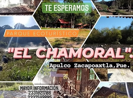 Parque “El chamoral”