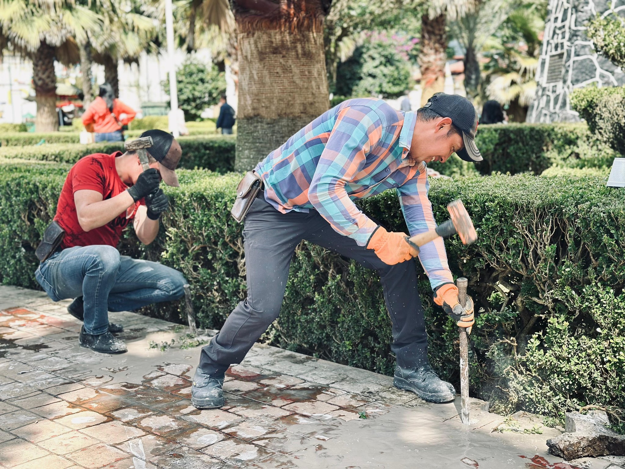 ¡Estamos trabajando para embellecer aún más nuestro zócalo de la ciudad!